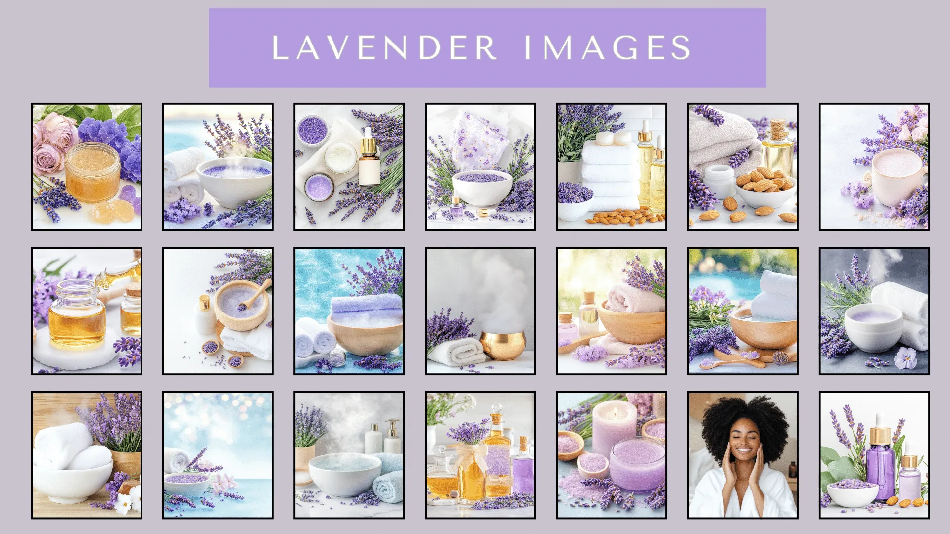 Images Lavender Images