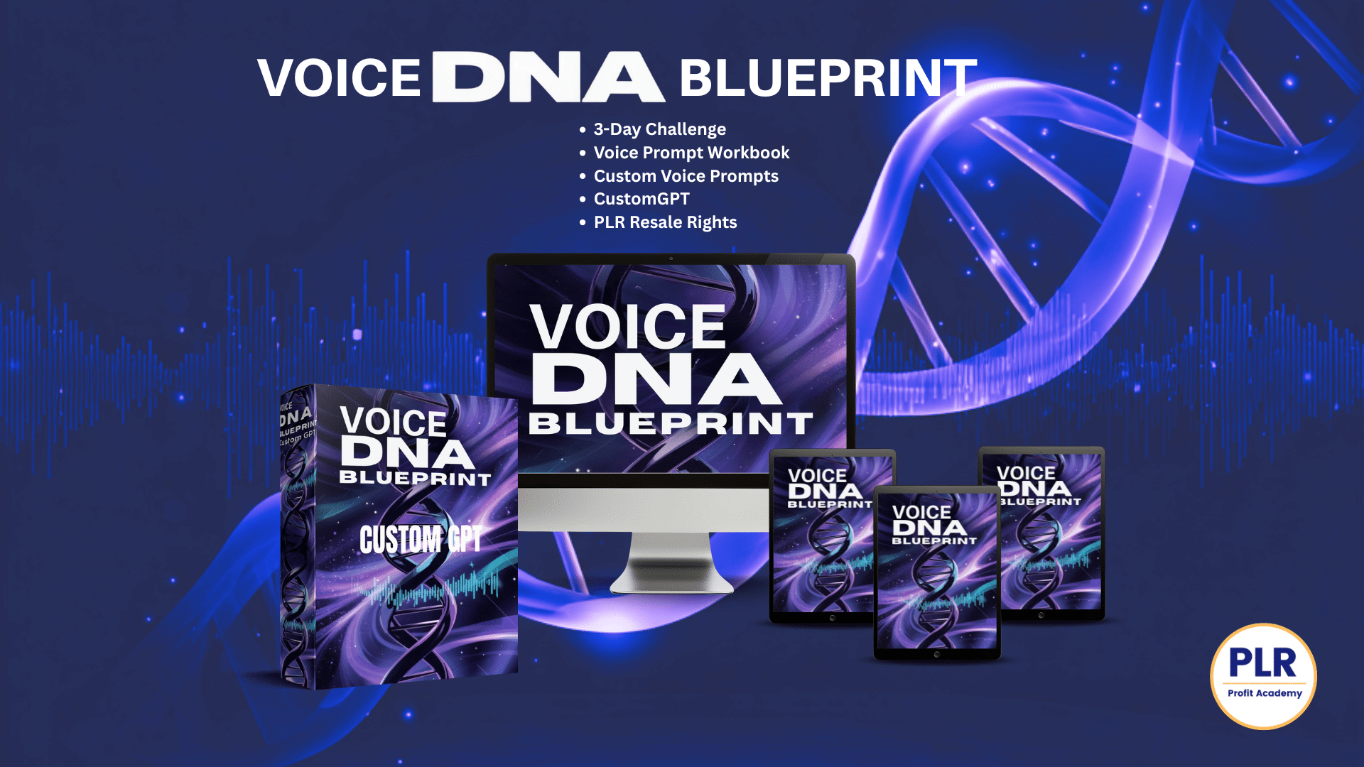 Voice DNA Blueprint (3)